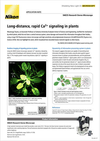 Tín hiệu Ca2+ tốc độ cao, khoảng cách xa trong thực vật