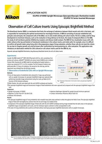 Quan sát màng chèn nuôi cấy tế bào bằng phương pháp sáng trường episcopic
