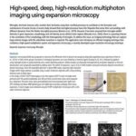 High-speed, deep, high-resolution multiphoton imaging using expansion microscopy