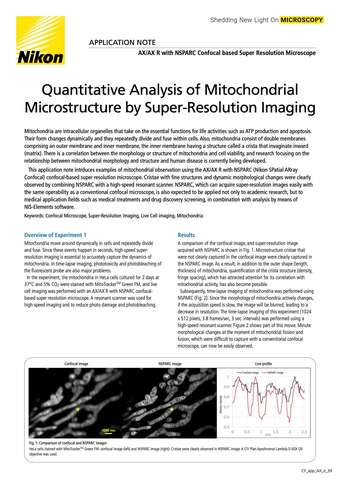 2222E Quantitative Analysis of Mitochondrial Microstructure by Super Resolution Imaging b043d2b295ef57929ca14a8b6cb20560