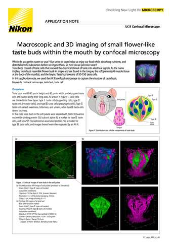 Chụp ảnh macro và 3D các nụ vị giác nhỏ hình hoa trong khoang miệng bằng hiển vi confocal