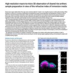 High-resolution macro-to-micro 3D observation of cleared rice anthers: sample preparation in view of the refractive index of immersion media