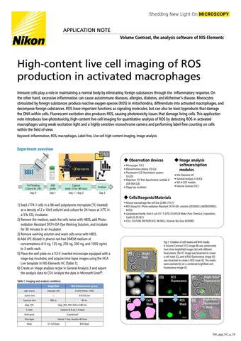 2230E High content live cell imaging of ROS production in activated macrophages b043d2b295ef57929ca14a8b6cb20560