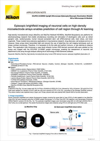 Chụp ảnh sáng trường episcopic tế bào thần kinh trên mảng điện cực mật độ cao cho phép AI học vùng tế bào