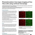 Photostimulation time-lapse imaging of live HeLa cells using confocal microscopy