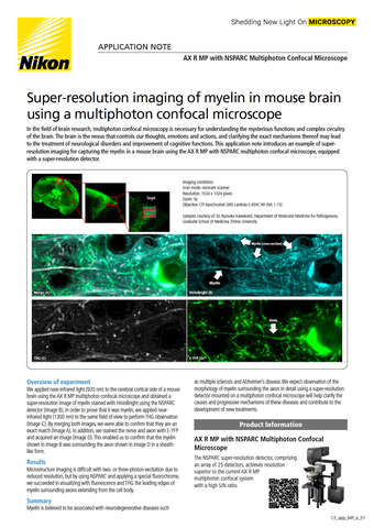 Chụp ảnh siêu phân giải myelin trong não chuột bằng kính hiển vi confocal đa photon