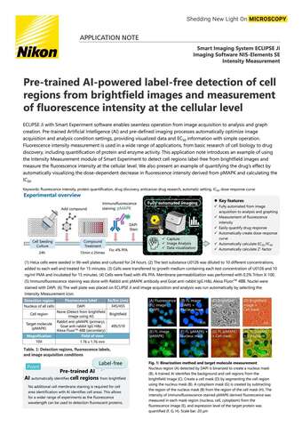 Phát hiện vùng tế bào không nhuộm bằng AI đã huấn luyện sẵn và đo cường độ huỳnh quang cấp tế bào