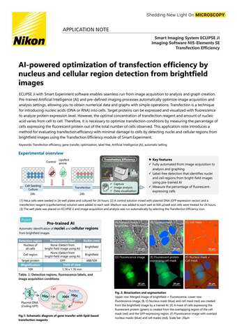 Tối ưu hóa hiệu quả chuyển gen bằng AI qua nhận diện nhân và vùng tế bào từ ảnh sáng trường