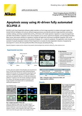 Xét nghiệm apoptosis bằng ECLIPSE Ji AI tự động