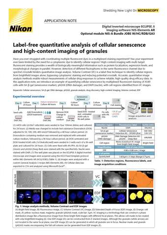 Phân tích định lượng không nhuộm về lão hóa tế bào và ảnh nội dung cao của các hạt
