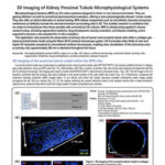 3D Imaging of Kidney Proximal Tubule Microphysiological Systems