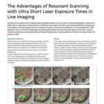 The Advantages of Resonant Scanning with Ultra Short Laser Exposure Times in Live Imaging