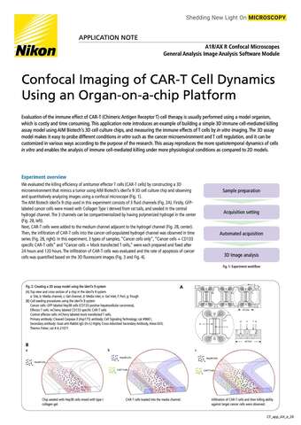 Confocal Imaging of CAR T Cell Dynamics 2118E b043d2b295ef57929ca14a8b6cb20560