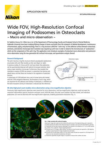 Confocal Imaging of Podosomes in Osteoclasts b043d2b295ef57929ca14a8b6cb20560