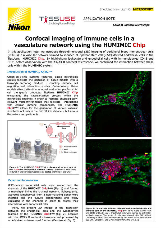 Chụp ảnh confocal tế bào miễn dịch trong mạng lưới mạch máu bằng chip HUMIMIC