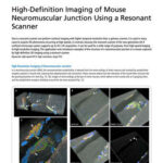 High-Definition Imaging of Mouse Neuromuscular Junction Using a Resonant Scanner
