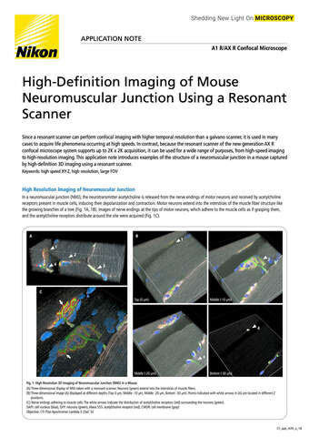 High Definition Imaging of Mouse Neuromuscular Junction COVER b043d2b295ef57929ca14a8b6cb20560