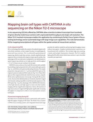 Mapping brain cell types with Cartana b043d2b295ef57929ca14a8b6cb20560