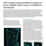 SHG imaging and quantitative analysis of bone collagen fibers using a multiphoton microscope