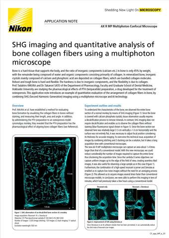 SHGimaging QuantitativeAnalysis BoneCollagenFibers UsingMultiphoton 2106E b043d2b295ef57929ca14a8b6cb20560