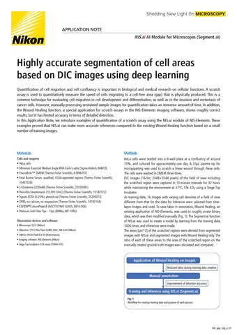SW app Seg e 2 b043d2b295ef57929ca14a8b6cb20560
