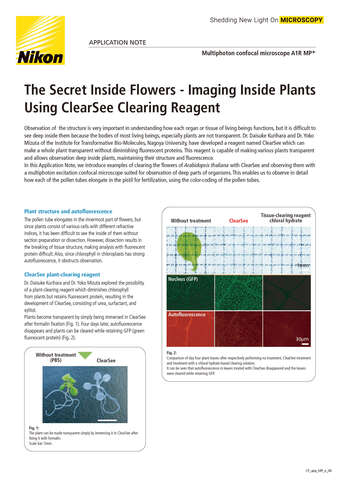 The Secret Inside Flowers b043d2b295ef57929ca14a8b6cb20560