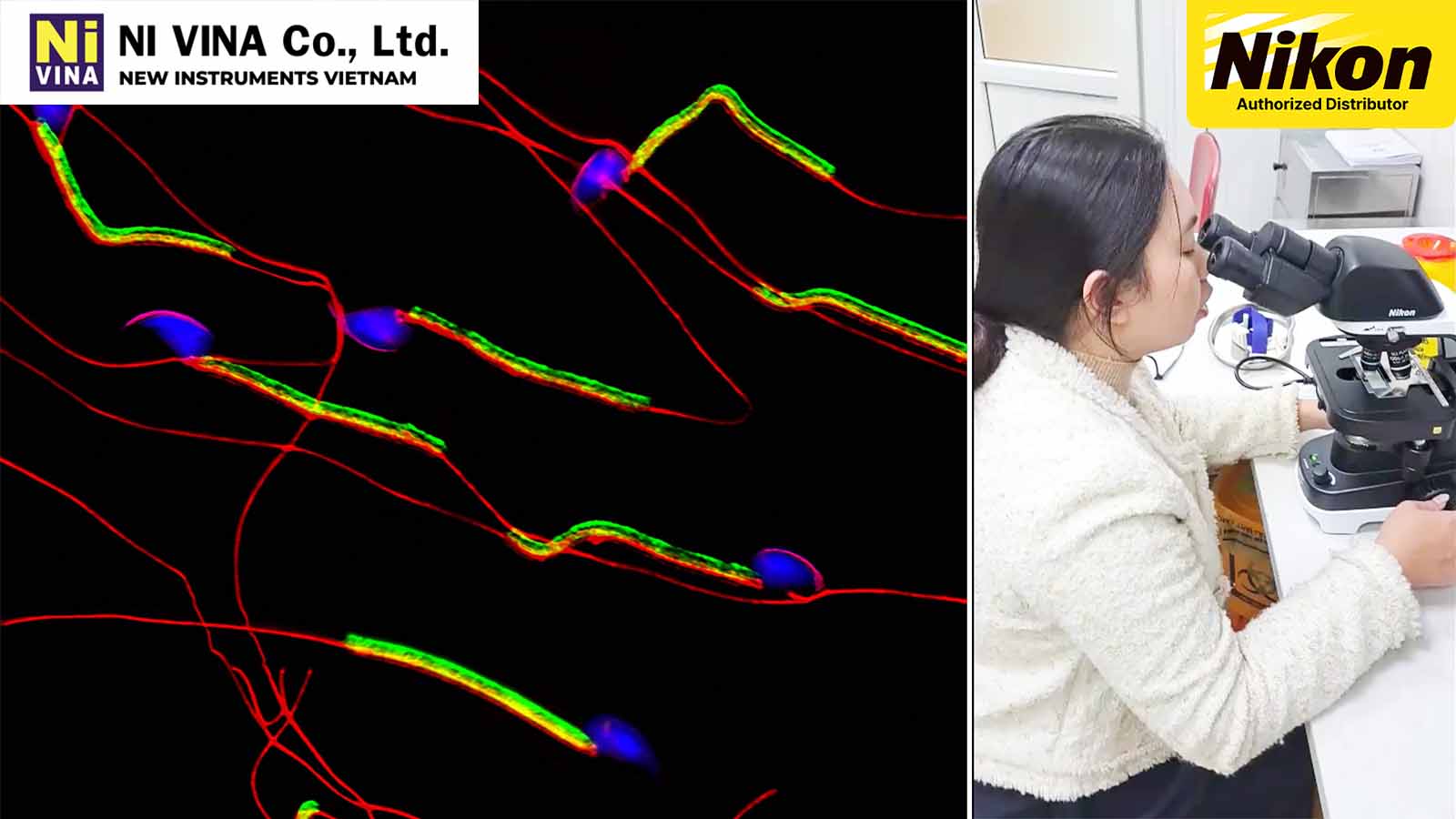 Kính Hiển Vi Soi Tinh Trùng NIKON