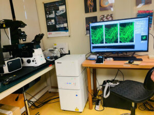 Soi Tế Bào Sống Với Kính Hiển Vi Phản Pha Nikon | Độ Tương Phản Vượt Trội